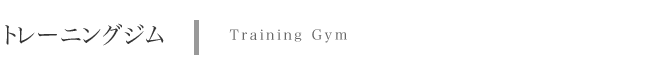 �g���[�j���O�W���@Training Gym�@�v�\��@3�e