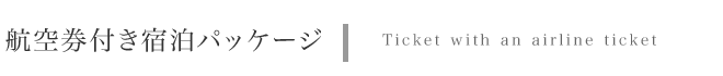 �q�󌔕t���h���p�b�P�[�W�@Tickef with an airline ticket