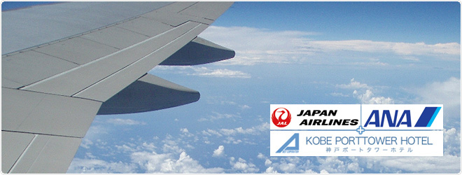 �q�󌔕t���h���p�b�P�[�W�@Tickef with an airline ticket