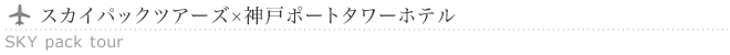 �X�J�C�p�b�N�c�A�[�Y�~�_�˃|�[�g�^���[�z�e��
