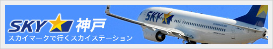 �X�J�C�}�[�N�@�_�ˁ@�X�J�C�}�[�N�ōs���X�J�C�X�e�[�V����