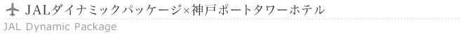 �X�J�C�p�b�N�c�A�[�Y�~�_�˃|�[�g�^���[�z�e��