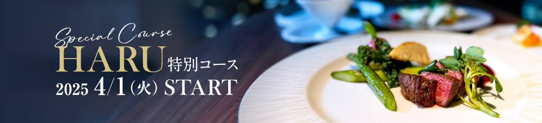 春の特別コース開始