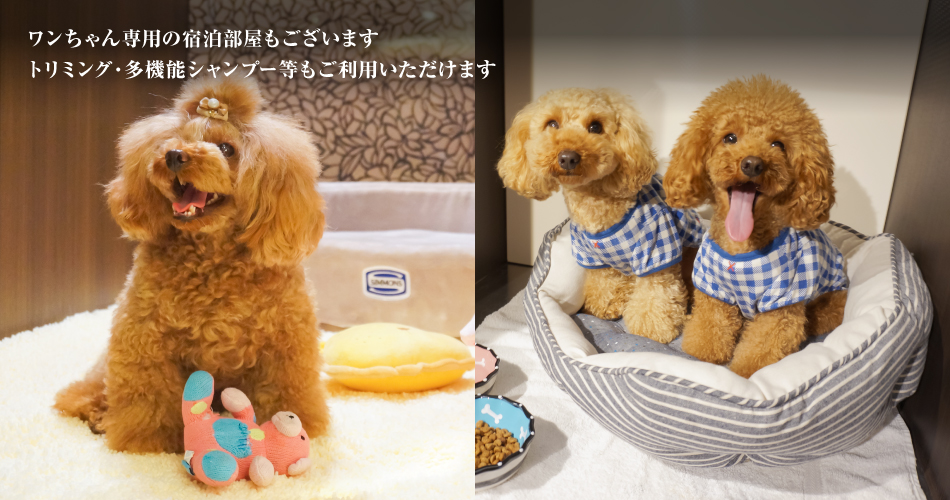 神戸ポートタワーホテル なごみの湯宿 宿泊予約 楽天トラベル 神戸ポートタワーホテル なごみの湯宿 宿泊予約 楽天トラベル